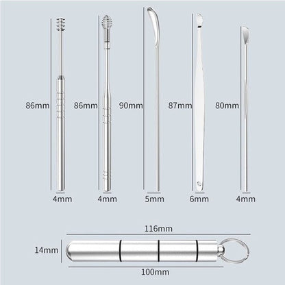 6pcs Set of Steel Ear Pick